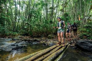 BIB: 
                            <button type="button" onclick="openModal(26464658)" class="btn btn-primary btn-sm float-right btn-popup" data-toggle="modal" data-target=".modal-high-quality">
                        <i class="fas fa-shopping-cart"></i> Add to Cart
                    </button>
                                            <button type="button" onclick="isThisMe(26464658, true)" class="btn btn-success btn-sm float-right btn-popup btn-isme hidden" data-toggle="tooltip" data-placement="bottom" title="นี่คือรูปของคุณใช่ไหม คลิกที่นี่เพื่อเอาเข้าอัลบั้ม">
                        <i class="fas fa-plus"></i> Add to album
                    </button>
                    <button type="button" onclick="isThisMe(26464658, false)" class="btn btn-warning btn-sm float-right btn-popup btn-isnotme hidden">
                        <i class="fas fa-ban"></i> Remove from album
                    </button>