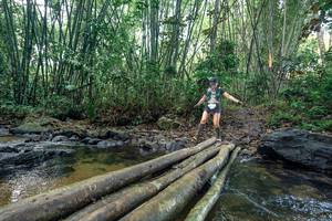 BIB: 
                            <button type="button" onclick="openModal(26428336)" class="btn btn-primary btn-sm float-right btn-popup" data-toggle="modal" data-target=".modal-high-quality">
                        <i class="fas fa-shopping-cart"></i> Add to Cart
                    </button>
                                            <button type="button" onclick="isThisMe(26428336, true)" class="btn btn-success btn-sm float-right btn-popup btn-isme hidden" data-toggle="tooltip" data-placement="bottom" title="นี่คือรูปของคุณใช่ไหม คลิกที่นี่เพื่อเอาเข้าอัลบั้ม">
                        <i class="fas fa-plus"></i> Add to album
                    </button>
                    <button type="button" onclick="isThisMe(26428336, false)" class="btn btn-warning btn-sm float-right btn-popup btn-isnotme hidden">
                        <i class="fas fa-ban"></i> Remove from album
                    </button>