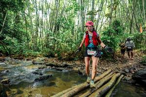 BIB: 
                            <button type="button" onclick="openModal(26448432)" class="btn btn-primary btn-sm float-right btn-popup" data-toggle="modal" data-target=".modal-high-quality">
                        <i class="fas fa-shopping-cart"></i> Add to Cart
                    </button>
                                            <button type="button" onclick="isThisMe(26448432, true)" class="btn btn-success btn-sm float-right btn-popup btn-isme hidden" data-toggle="tooltip" data-placement="bottom" title="นี่คือรูปของคุณใช่ไหม คลิกที่นี่เพื่อเอาเข้าอัลบั้ม">
                        <i class="fas fa-plus"></i> Add to album
                    </button>
                    <button type="button" onclick="isThisMe(26448432, false)" class="btn btn-warning btn-sm float-right btn-popup btn-isnotme hidden">
                        <i class="fas fa-ban"></i> Remove from album
                    </button>