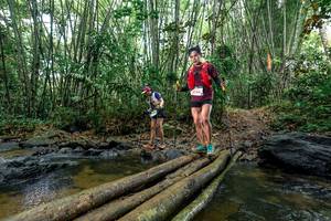 BIB: 
                            <button type="button" onclick="openModal(26500792)" class="btn btn-primary btn-sm float-right btn-popup" data-toggle="modal" data-target=".modal-high-quality">
                        <i class="fas fa-shopping-cart"></i> Add to Cart
                    </button>
                                            <button type="button" onclick="isThisMe(26500792, true)" class="btn btn-success btn-sm float-right btn-popup btn-isme hidden" data-toggle="tooltip" data-placement="bottom" title="นี่คือรูปของคุณใช่ไหม คลิกที่นี่เพื่อเอาเข้าอัลบั้ม">
                        <i class="fas fa-plus"></i> Add to album
                    </button>
                    <button type="button" onclick="isThisMe(26500792, false)" class="btn btn-warning btn-sm float-right btn-popup btn-isnotme hidden">
                        <i class="fas fa-ban"></i> Remove from album
                    </button>