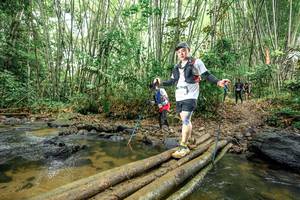 BIB: 
                            <button type="button" onclick="openModal(26503235)" class="btn btn-primary btn-sm float-right btn-popup" data-toggle="modal" data-target=".modal-high-quality">
                        <i class="fas fa-shopping-cart"></i> Add to Cart
                    </button>
                                            <button type="button" onclick="isThisMe(26503235, true)" class="btn btn-success btn-sm float-right btn-popup btn-isme hidden" data-toggle="tooltip" data-placement="bottom" title="นี่คือรูปของคุณใช่ไหม คลิกที่นี่เพื่อเอาเข้าอัลบั้ม">
                        <i class="fas fa-plus"></i> Add to album
                    </button>
                    <button type="button" onclick="isThisMe(26503235, false)" class="btn btn-warning btn-sm float-right btn-popup btn-isnotme hidden">
                        <i class="fas fa-ban"></i> Remove from album
                    </button>