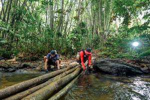 BIB: 
                            <button type="button" onclick="openModal(26464668)" class="btn btn-primary btn-sm float-right btn-popup" data-toggle="modal" data-target=".modal-high-quality">
                        <i class="fas fa-shopping-cart"></i> Add to Cart
                    </button>
                                            <button type="button" onclick="isThisMe(26464668, true)" class="btn btn-success btn-sm float-right btn-popup btn-isme hidden" data-toggle="tooltip" data-placement="bottom" title="นี่คือรูปของคุณใช่ไหม คลิกที่นี่เพื่อเอาเข้าอัลบั้ม">
                        <i class="fas fa-plus"></i> Add to album
                    </button>
                    <button type="button" onclick="isThisMe(26464668, false)" class="btn btn-warning btn-sm float-right btn-popup btn-isnotme hidden">
                        <i class="fas fa-ban"></i> Remove from album
                    </button>