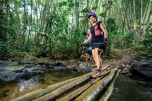 BIB: 
                            <button type="button" onclick="openModal(26471766)" class="btn btn-primary btn-sm float-right btn-popup" data-toggle="modal" data-target=".modal-high-quality">
                        <i class="fas fa-shopping-cart"></i> Add to Cart
                    </button>
                                            <button type="button" onclick="isThisMe(26471766, true)" class="btn btn-success btn-sm float-right btn-popup btn-isme hidden" data-toggle="tooltip" data-placement="bottom" title="นี่คือรูปของคุณใช่ไหม คลิกที่นี่เพื่อเอาเข้าอัลบั้ม">
                        <i class="fas fa-plus"></i> Add to album
                    </button>
                    <button type="button" onclick="isThisMe(26471766, false)" class="btn btn-warning btn-sm float-right btn-popup btn-isnotme hidden">
                        <i class="fas fa-ban"></i> Remove from album
                    </button>