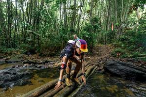 BIB: 
                            <button type="button" onclick="openModal(26441641)" class="btn btn-primary btn-sm float-right btn-popup" data-toggle="modal" data-target=".modal-high-quality">
                        <i class="fas fa-shopping-cart"></i> Add to Cart
                    </button>
                                            <button type="button" onclick="isThisMe(26441641, true)" class="btn btn-success btn-sm float-right btn-popup btn-isme hidden" data-toggle="tooltip" data-placement="bottom" title="นี่คือรูปของคุณใช่ไหม คลิกที่นี่เพื่อเอาเข้าอัลบั้ม">
                        <i class="fas fa-plus"></i> Add to album
                    </button>
                    <button type="button" onclick="isThisMe(26441641, false)" class="btn btn-warning btn-sm float-right btn-popup btn-isnotme hidden">
                        <i class="fas fa-ban"></i> Remove from album
                    </button>