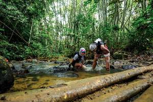 BIB: 
                            <button type="button" onclick="openModal(26505558)" class="btn btn-primary btn-sm float-right btn-popup" data-toggle="modal" data-target=".modal-high-quality">
                        <i class="fas fa-shopping-cart"></i> Add to Cart
                    </button>
                                            <button type="button" onclick="isThisMe(26505558, true)" class="btn btn-success btn-sm float-right btn-popup btn-isme hidden" data-toggle="tooltip" data-placement="bottom" title="นี่คือรูปของคุณใช่ไหม คลิกที่นี่เพื่อเอาเข้าอัลบั้ม">
                        <i class="fas fa-plus"></i> Add to album
                    </button>
                    <button type="button" onclick="isThisMe(26505558, false)" class="btn btn-warning btn-sm float-right btn-popup btn-isnotme hidden">
                        <i class="fas fa-ban"></i> Remove from album
                    </button>