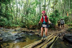 BIB: 
                            <button type="button" onclick="openModal(26448295)" class="btn btn-primary btn-sm float-right btn-popup" data-toggle="modal" data-target=".modal-high-quality">
                        <i class="fas fa-shopping-cart"></i> Add to Cart
                    </button>
                                            <button type="button" onclick="isThisMe(26448295, true)" class="btn btn-success btn-sm float-right btn-popup btn-isme hidden" data-toggle="tooltip" data-placement="bottom" title="นี่คือรูปของคุณใช่ไหม คลิกที่นี่เพื่อเอาเข้าอัลบั้ม">
                        <i class="fas fa-plus"></i> Add to album
                    </button>
                    <button type="button" onclick="isThisMe(26448295, false)" class="btn btn-warning btn-sm float-right btn-popup btn-isnotme hidden">
                        <i class="fas fa-ban"></i> Remove from album
                    </button>