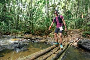 BIB: 
                            <button type="button" onclick="openModal(26446347)" class="btn btn-primary btn-sm float-right btn-popup" data-toggle="modal" data-target=".modal-high-quality">
                        <i class="fas fa-shopping-cart"></i> Add to Cart
                    </button>
                                            <button type="button" onclick="isThisMe(26446347, true)" class="btn btn-success btn-sm float-right btn-popup btn-isme hidden" data-toggle="tooltip" data-placement="bottom" title="นี่คือรูปของคุณใช่ไหม คลิกที่นี่เพื่อเอาเข้าอัลบั้ม">
                        <i class="fas fa-plus"></i> Add to album
                    </button>
                    <button type="button" onclick="isThisMe(26446347, false)" class="btn btn-warning btn-sm float-right btn-popup btn-isnotme hidden">
                        <i class="fas fa-ban"></i> Remove from album
                    </button>