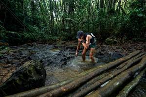 BIB: 
                            <button type="button" onclick="openModal(26434437)" class="btn btn-primary btn-sm float-right btn-popup" data-toggle="modal" data-target=".modal-high-quality">
                        <i class="fas fa-shopping-cart"></i> Add to Cart
                    </button>
                                            <button type="button" onclick="isThisMe(26434437, true)" class="btn btn-success btn-sm float-right btn-popup btn-isme hidden" data-toggle="tooltip" data-placement="bottom" title="นี่คือรูปของคุณใช่ไหม คลิกที่นี่เพื่อเอาเข้าอัลบั้ม">
                        <i class="fas fa-plus"></i> Add to album
                    </button>
                    <button type="button" onclick="isThisMe(26434437, false)" class="btn btn-warning btn-sm float-right btn-popup btn-isnotme hidden">
                        <i class="fas fa-ban"></i> Remove from album
                    </button>