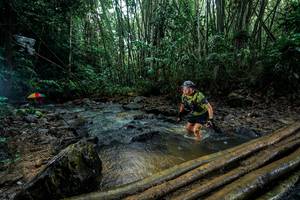 BIB: 
                            <button type="button" onclick="openModal(26494173)" class="btn btn-primary btn-sm float-right btn-popup" data-toggle="modal" data-target=".modal-high-quality">
                        <i class="fas fa-shopping-cart"></i> Add to Cart
                    </button>
                                            <button type="button" onclick="isThisMe(26494173, true)" class="btn btn-success btn-sm float-right btn-popup btn-isme hidden" data-toggle="tooltip" data-placement="bottom" title="นี่คือรูปของคุณใช่ไหม คลิกที่นี่เพื่อเอาเข้าอัลบั้ม">
                        <i class="fas fa-plus"></i> Add to album
                    </button>
                    <button type="button" onclick="isThisMe(26494173, false)" class="btn btn-warning btn-sm float-right btn-popup btn-isnotme hidden">
                        <i class="fas fa-ban"></i> Remove from album
                    </button>