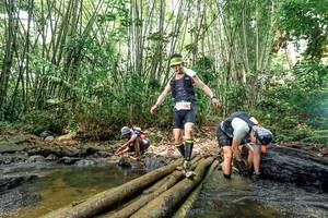 BIB: 
                            <button type="button" onclick="openModal(26466143)" class="btn btn-primary btn-sm float-right btn-popup" data-toggle="modal" data-target=".modal-high-quality">
                        <i class="fas fa-shopping-cart"></i> Add to Cart
                    </button>
                                            <button type="button" onclick="isThisMe(26466143, true)" class="btn btn-success btn-sm float-right btn-popup btn-isme hidden" data-toggle="tooltip" data-placement="bottom" title="นี่คือรูปของคุณใช่ไหม คลิกที่นี่เพื่อเอาเข้าอัลบั้ม">
                        <i class="fas fa-plus"></i> Add to album
                    </button>
                    <button type="button" onclick="isThisMe(26466143, false)" class="btn btn-warning btn-sm float-right btn-popup btn-isnotme hidden">
                        <i class="fas fa-ban"></i> Remove from album
                    </button>