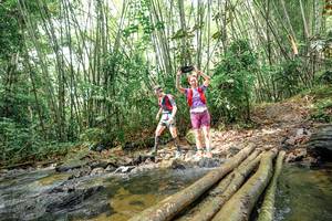 BIB: 
                            <button type="button" onclick="openModal(26439460)" class="btn btn-primary btn-sm float-right btn-popup" data-toggle="modal" data-target=".modal-high-quality">
                        <i class="fas fa-shopping-cart"></i> Add to Cart
                    </button>
                                            <button type="button" onclick="isThisMe(26439460, true)" class="btn btn-success btn-sm float-right btn-popup btn-isme hidden" data-toggle="tooltip" data-placement="bottom" title="นี่คือรูปของคุณใช่ไหม คลิกที่นี่เพื่อเอาเข้าอัลบั้ม">
                        <i class="fas fa-plus"></i> Add to album
                    </button>
                    <button type="button" onclick="isThisMe(26439460, false)" class="btn btn-warning btn-sm float-right btn-popup btn-isnotme hidden">
                        <i class="fas fa-ban"></i> Remove from album
                    </button>