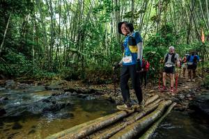 BIB: 
                            <button type="button" onclick="openModal(26504162)" class="btn btn-primary btn-sm float-right btn-popup" data-toggle="modal" data-target=".modal-high-quality">
                        <i class="fas fa-shopping-cart"></i> Add to Cart
                    </button>
                                            <button type="button" onclick="isThisMe(26504162, true)" class="btn btn-success btn-sm float-right btn-popup btn-isme hidden" data-toggle="tooltip" data-placement="bottom" title="นี่คือรูปของคุณใช่ไหม คลิกที่นี่เพื่อเอาเข้าอัลบั้ม">
                        <i class="fas fa-plus"></i> Add to album
                    </button>
                    <button type="button" onclick="isThisMe(26504162, false)" class="btn btn-warning btn-sm float-right btn-popup btn-isnotme hidden">
                        <i class="fas fa-ban"></i> Remove from album
                    </button>