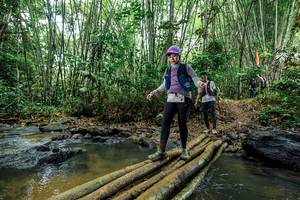 BIB: 
                            <button type="button" onclick="openModal(26466631)" class="btn btn-primary btn-sm float-right btn-popup" data-toggle="modal" data-target=".modal-high-quality">
                        <i class="fas fa-shopping-cart"></i> Add to Cart
                    </button>
                                            <button type="button" onclick="isThisMe(26466631, true)" class="btn btn-success btn-sm float-right btn-popup btn-isme hidden" data-toggle="tooltip" data-placement="bottom" title="นี่คือรูปของคุณใช่ไหม คลิกที่นี่เพื่อเอาเข้าอัลบั้ม">
                        <i class="fas fa-plus"></i> Add to album
                    </button>
                    <button type="button" onclick="isThisMe(26466631, false)" class="btn btn-warning btn-sm float-right btn-popup btn-isnotme hidden">
                        <i class="fas fa-ban"></i> Remove from album
                    </button>