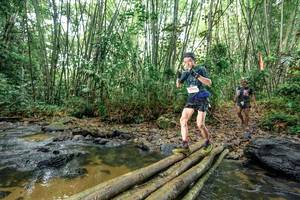 BIB: 
                            <button type="button" onclick="openModal(26440733)" class="btn btn-primary btn-sm float-right btn-popup" data-toggle="modal" data-target=".modal-high-quality">
                        <i class="fas fa-shopping-cart"></i> Add to Cart
                    </button>
                                            <button type="button" onclick="isThisMe(26440733, true)" class="btn btn-success btn-sm float-right btn-popup btn-isme hidden" data-toggle="tooltip" data-placement="bottom" title="นี่คือรูปของคุณใช่ไหม คลิกที่นี่เพื่อเอาเข้าอัลบั้ม">
                        <i class="fas fa-plus"></i> Add to album
                    </button>
                    <button type="button" onclick="isThisMe(26440733, false)" class="btn btn-warning btn-sm float-right btn-popup btn-isnotme hidden">
                        <i class="fas fa-ban"></i> Remove from album
                    </button>