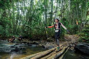 BIB: 
                            <button type="button" onclick="openModal(26491088)" class="btn btn-primary btn-sm float-right btn-popup" data-toggle="modal" data-target=".modal-high-quality">
                        <i class="fas fa-shopping-cart"></i> Add to Cart
                    </button>
                                            <button type="button" onclick="isThisMe(26491088, true)" class="btn btn-success btn-sm float-right btn-popup btn-isme hidden" data-toggle="tooltip" data-placement="bottom" title="นี่คือรูปของคุณใช่ไหม คลิกที่นี่เพื่อเอาเข้าอัลบั้ม">
                        <i class="fas fa-plus"></i> Add to album
                    </button>
                    <button type="button" onclick="isThisMe(26491088, false)" class="btn btn-warning btn-sm float-right btn-popup btn-isnotme hidden">
                        <i class="fas fa-ban"></i> Remove from album
                    </button>