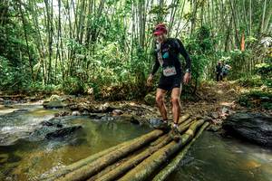 BIB: 
                            <button type="button" onclick="openModal(26450192)" class="btn btn-primary btn-sm float-right btn-popup" data-toggle="modal" data-target=".modal-high-quality">
                        <i class="fas fa-shopping-cart"></i> Add to Cart
                    </button>
                                            <button type="button" onclick="isThisMe(26450192, true)" class="btn btn-success btn-sm float-right btn-popup btn-isme hidden" data-toggle="tooltip" data-placement="bottom" title="นี่คือรูปของคุณใช่ไหม คลิกที่นี่เพื่อเอาเข้าอัลบั้ม">
                        <i class="fas fa-plus"></i> Add to album
                    </button>
                    <button type="button" onclick="isThisMe(26450192, false)" class="btn btn-warning btn-sm float-right btn-popup btn-isnotme hidden">
                        <i class="fas fa-ban"></i> Remove from album
                    </button>