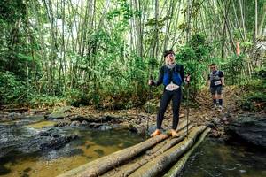 BIB: 
                            <button type="button" onclick="openModal(26503417)" class="btn btn-primary btn-sm float-right btn-popup" data-toggle="modal" data-target=".modal-high-quality">
                        <i class="fas fa-shopping-cart"></i> Add to Cart
                    </button>
                                            <button type="button" onclick="isThisMe(26503417, true)" class="btn btn-success btn-sm float-right btn-popup btn-isme hidden" data-toggle="tooltip" data-placement="bottom" title="นี่คือรูปของคุณใช่ไหม คลิกที่นี่เพื่อเอาเข้าอัลบั้ม">
                        <i class="fas fa-plus"></i> Add to album
                    </button>
                    <button type="button" onclick="isThisMe(26503417, false)" class="btn btn-warning btn-sm float-right btn-popup btn-isnotme hidden">
                        <i class="fas fa-ban"></i> Remove from album
                    </button>