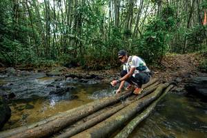 BIB: 
                            <button type="button" onclick="openModal(26500751)" class="btn btn-primary btn-sm float-right btn-popup" data-toggle="modal" data-target=".modal-high-quality">
                        <i class="fas fa-shopping-cart"></i> Add to Cart
                    </button>
                                            <button type="button" onclick="isThisMe(26500751, true)" class="btn btn-success btn-sm float-right btn-popup btn-isme hidden" data-toggle="tooltip" data-placement="bottom" title="นี่คือรูปของคุณใช่ไหม คลิกที่นี่เพื่อเอาเข้าอัลบั้ม">
                        <i class="fas fa-plus"></i> Add to album
                    </button>
                    <button type="button" onclick="isThisMe(26500751, false)" class="btn btn-warning btn-sm float-right btn-popup btn-isnotme hidden">
                        <i class="fas fa-ban"></i> Remove from album
                    </button>