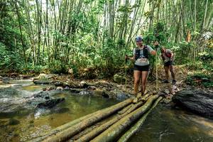 BIB: 
                            <button type="button" onclick="openModal(26448864)" class="btn btn-primary btn-sm float-right btn-popup" data-toggle="modal" data-target=".modal-high-quality">
                        <i class="fas fa-shopping-cart"></i> Add to Cart
                    </button>
                                            <button type="button" onclick="isThisMe(26448864, true)" class="btn btn-success btn-sm float-right btn-popup btn-isme hidden" data-toggle="tooltip" data-placement="bottom" title="นี่คือรูปของคุณใช่ไหม คลิกที่นี่เพื่อเอาเข้าอัลบั้ม">
                        <i class="fas fa-plus"></i> Add to album
                    </button>
                    <button type="button" onclick="isThisMe(26448864, false)" class="btn btn-warning btn-sm float-right btn-popup btn-isnotme hidden">
                        <i class="fas fa-ban"></i> Remove from album
                    </button>