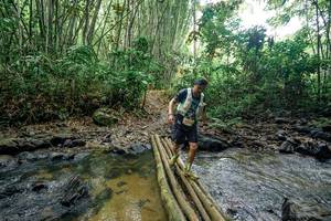 BIB: 
                            <button type="button" onclick="openModal(26501864)" class="btn btn-primary btn-sm float-right btn-popup" data-toggle="modal" data-target=".modal-high-quality">
                        <i class="fas fa-shopping-cart"></i> Add to Cart
                    </button>
                                            <button type="button" onclick="isThisMe(26501864, true)" class="btn btn-success btn-sm float-right btn-popup btn-isme hidden" data-toggle="tooltip" data-placement="bottom" title="นี่คือรูปของคุณใช่ไหม คลิกที่นี่เพื่อเอาเข้าอัลบั้ม">
                        <i class="fas fa-plus"></i> Add to album
                    </button>
                    <button type="button" onclick="isThisMe(26501864, false)" class="btn btn-warning btn-sm float-right btn-popup btn-isnotme hidden">
                        <i class="fas fa-ban"></i> Remove from album
                    </button>