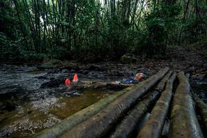 BIB: 
                            <button type="button" onclick="openModal(26427965)" class="btn btn-primary btn-sm float-right btn-popup" data-toggle="modal" data-target=".modal-high-quality">
                        <i class="fas fa-shopping-cart"></i> Add to Cart
                    </button>
                                            <button type="button" onclick="isThisMe(26427965, true)" class="btn btn-success btn-sm float-right btn-popup btn-isme hidden" data-toggle="tooltip" data-placement="bottom" title="นี่คือรูปของคุณใช่ไหม คลิกที่นี่เพื่อเอาเข้าอัลบั้ม">
                        <i class="fas fa-plus"></i> Add to album
                    </button>
                    <button type="button" onclick="isThisMe(26427965, false)" class="btn btn-warning btn-sm float-right btn-popup btn-isnotme hidden">
                        <i class="fas fa-ban"></i> Remove from album
                    </button>