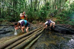 BIB: 
                            <button type="button" onclick="openModal(26446240)" class="btn btn-primary btn-sm float-right btn-popup" data-toggle="modal" data-target=".modal-high-quality">
                        <i class="fas fa-shopping-cart"></i> Add to Cart
                    </button>
                                            <button type="button" onclick="isThisMe(26446240, true)" class="btn btn-success btn-sm float-right btn-popup btn-isme hidden" data-toggle="tooltip" data-placement="bottom" title="นี่คือรูปของคุณใช่ไหม คลิกที่นี่เพื่อเอาเข้าอัลบั้ม">
                        <i class="fas fa-plus"></i> Add to album
                    </button>
                    <button type="button" onclick="isThisMe(26446240, false)" class="btn btn-warning btn-sm float-right btn-popup btn-isnotme hidden">
                        <i class="fas fa-ban"></i> Remove from album
                    </button>