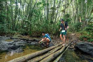 BIB: 
                            <button type="button" onclick="openModal(26435837)" class="btn btn-primary btn-sm float-right btn-popup" data-toggle="modal" data-target=".modal-high-quality">
                        <i class="fas fa-shopping-cart"></i> Add to Cart
                    </button>
                                            <button type="button" onclick="isThisMe(26435837, true)" class="btn btn-success btn-sm float-right btn-popup btn-isme hidden" data-toggle="tooltip" data-placement="bottom" title="นี่คือรูปของคุณใช่ไหม คลิกที่นี่เพื่อเอาเข้าอัลบั้ม">
                        <i class="fas fa-plus"></i> Add to album
                    </button>
                    <button type="button" onclick="isThisMe(26435837, false)" class="btn btn-warning btn-sm float-right btn-popup btn-isnotme hidden">
                        <i class="fas fa-ban"></i> Remove from album
                    </button>