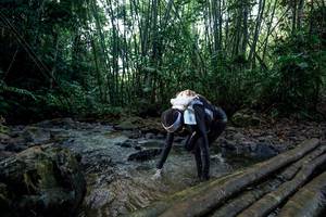 BIB: 
                            <button type="button" onclick="openModal(26427532)" class="btn btn-primary btn-sm float-right btn-popup" data-toggle="modal" data-target=".modal-high-quality">
                        <i class="fas fa-shopping-cart"></i> Add to Cart
                    </button>
                                            <button type="button" onclick="isThisMe(26427532, true)" class="btn btn-success btn-sm float-right btn-popup btn-isme hidden" data-toggle="tooltip" data-placement="bottom" title="นี่คือรูปของคุณใช่ไหม คลิกที่นี่เพื่อเอาเข้าอัลบั้ม">
                        <i class="fas fa-plus"></i> Add to album
                    </button>
                    <button type="button" onclick="isThisMe(26427532, false)" class="btn btn-warning btn-sm float-right btn-popup btn-isnotme hidden">
                        <i class="fas fa-ban"></i> Remove from album
                    </button>