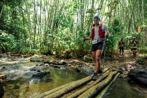 BIB: 
                            <button type="button" onclick="openModal(26449439)" class="btn btn-primary btn-sm float-right btn-popup" data-toggle="modal" data-target=".modal-high-quality">
                        <i class="fas fa-shopping-cart"></i> Add to Cart
                    </button>
                                            <button type="button" onclick="isThisMe(26449439, true)" class="btn btn-success btn-sm float-right btn-popup btn-isme hidden" data-toggle="tooltip" data-placement="bottom" title="นี่คือรูปของคุณใช่ไหม คลิกที่นี่เพื่อเอาเข้าอัลบั้ม">
                        <i class="fas fa-plus"></i> Add to album
                    </button>
                    <button type="button" onclick="isThisMe(26449439, false)" class="btn btn-warning btn-sm float-right btn-popup btn-isnotme hidden">
                        <i class="fas fa-ban"></i> Remove from album
                    </button>