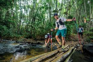 BIB: 
                            <button type="button" onclick="openModal(26473588)" class="btn btn-primary btn-sm float-right btn-popup" data-toggle="modal" data-target=".modal-high-quality">
                        <i class="fas fa-shopping-cart"></i> Add to Cart
                    </button>
                                            <button type="button" onclick="isThisMe(26473588, true)" class="btn btn-success btn-sm float-right btn-popup btn-isme hidden" data-toggle="tooltip" data-placement="bottom" title="นี่คือรูปของคุณใช่ไหม คลิกที่นี่เพื่อเอาเข้าอัลบั้ม">
                        <i class="fas fa-plus"></i> Add to album
                    </button>
                    <button type="button" onclick="isThisMe(26473588, false)" class="btn btn-warning btn-sm float-right btn-popup btn-isnotme hidden">
                        <i class="fas fa-ban"></i> Remove from album
                    </button>