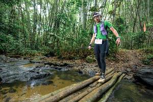 BIB: 
                            <button type="button" onclick="openModal(26500687)" class="btn btn-primary btn-sm float-right btn-popup" data-toggle="modal" data-target=".modal-high-quality">
                        <i class="fas fa-shopping-cart"></i> Add to Cart
                    </button>
                                            <button type="button" onclick="isThisMe(26500687, true)" class="btn btn-success btn-sm float-right btn-popup btn-isme hidden" data-toggle="tooltip" data-placement="bottom" title="นี่คือรูปของคุณใช่ไหม คลิกที่นี่เพื่อเอาเข้าอัลบั้ม">
                        <i class="fas fa-plus"></i> Add to album
                    </button>
                    <button type="button" onclick="isThisMe(26500687, false)" class="btn btn-warning btn-sm float-right btn-popup btn-isnotme hidden">
                        <i class="fas fa-ban"></i> Remove from album
                    </button>