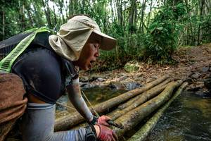 BIB: 
                            <button type="button" onclick="openModal(26442125)" class="btn btn-primary btn-sm float-right btn-popup" data-toggle="modal" data-target=".modal-high-quality">
                        <i class="fas fa-shopping-cart"></i> Add to Cart
                    </button>
                                            <button type="button" onclick="isThisMe(26442125, true)" class="btn btn-success btn-sm float-right btn-popup btn-isme hidden" data-toggle="tooltip" data-placement="bottom" title="นี่คือรูปของคุณใช่ไหม คลิกที่นี่เพื่อเอาเข้าอัลบั้ม">
                        <i class="fas fa-plus"></i> Add to album
                    </button>
                    <button type="button" onclick="isThisMe(26442125, false)" class="btn btn-warning btn-sm float-right btn-popup btn-isnotme hidden">
                        <i class="fas fa-ban"></i> Remove from album
                    </button>