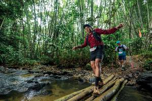 BIB: 
                            <button type="button" onclick="openModal(26464940)" class="btn btn-primary btn-sm float-right btn-popup" data-toggle="modal" data-target=".modal-high-quality">
                        <i class="fas fa-shopping-cart"></i> Add to Cart
                    </button>
                                            <button type="button" onclick="isThisMe(26464940, true)" class="btn btn-success btn-sm float-right btn-popup btn-isme hidden" data-toggle="tooltip" data-placement="bottom" title="นี่คือรูปของคุณใช่ไหม คลิกที่นี่เพื่อเอาเข้าอัลบั้ม">
                        <i class="fas fa-plus"></i> Add to album
                    </button>
                    <button type="button" onclick="isThisMe(26464940, false)" class="btn btn-warning btn-sm float-right btn-popup btn-isnotme hidden">
                        <i class="fas fa-ban"></i> Remove from album
                    </button>