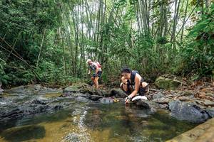 BIB: 
                            <button type="button" onclick="openModal(26457850)" class="btn btn-primary btn-sm float-right btn-popup" data-toggle="modal" data-target=".modal-high-quality">
                        <i class="fas fa-shopping-cart"></i> Add to Cart
                    </button>
                                            <button type="button" onclick="isThisMe(26457850, true)" class="btn btn-success btn-sm float-right btn-popup btn-isme hidden" data-toggle="tooltip" data-placement="bottom" title="นี่คือรูปของคุณใช่ไหม คลิกที่นี่เพื่อเอาเข้าอัลบั้ม">
                        <i class="fas fa-plus"></i> Add to album
                    </button>
                    <button type="button" onclick="isThisMe(26457850, false)" class="btn btn-warning btn-sm float-right btn-popup btn-isnotme hidden">
                        <i class="fas fa-ban"></i> Remove from album
                    </button>