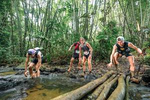 BIB: 
                            <button type="button" onclick="openModal(26437967)" class="btn btn-primary btn-sm float-right btn-popup" data-toggle="modal" data-target=".modal-high-quality">
                        <i class="fas fa-shopping-cart"></i> Add to Cart
                    </button>
                                            <button type="button" onclick="isThisMe(26437967, true)" class="btn btn-success btn-sm float-right btn-popup btn-isme hidden" data-toggle="tooltip" data-placement="bottom" title="นี่คือรูปของคุณใช่ไหม คลิกที่นี่เพื่อเอาเข้าอัลบั้ม">
                        <i class="fas fa-plus"></i> Add to album
                    </button>
                    <button type="button" onclick="isThisMe(26437967, false)" class="btn btn-warning btn-sm float-right btn-popup btn-isnotme hidden">
                        <i class="fas fa-ban"></i> Remove from album
                    </button>