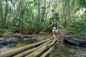 BIB: 
                            <button type="button" onclick="openModal(26438481)" class="btn btn-primary btn-sm float-right btn-popup" data-toggle="modal" data-target=".modal-high-quality">
                        <i class="fas fa-shopping-cart"></i> Add to Cart
                    </button>
                                            <button type="button" onclick="isThisMe(26438481, true)" class="btn btn-success btn-sm float-right btn-popup btn-isme hidden" data-toggle="tooltip" data-placement="bottom" title="นี่คือรูปของคุณใช่ไหม คลิกที่นี่เพื่อเอาเข้าอัลบั้ม">
                        <i class="fas fa-plus"></i> Add to album
                    </button>
                    <button type="button" onclick="isThisMe(26438481, false)" class="btn btn-warning btn-sm float-right btn-popup btn-isnotme hidden">
                        <i class="fas fa-ban"></i> Remove from album
                    </button>