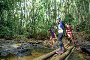 BIB: 
                            <button type="button" onclick="openModal(26452242)" class="btn btn-primary btn-sm float-right btn-popup" data-toggle="modal" data-target=".modal-high-quality">
                        <i class="fas fa-shopping-cart"></i> Add to Cart
                    </button>
                                            <button type="button" onclick="isThisMe(26452242, true)" class="btn btn-success btn-sm float-right btn-popup btn-isme hidden" data-toggle="tooltip" data-placement="bottom" title="นี่คือรูปของคุณใช่ไหม คลิกที่นี่เพื่อเอาเข้าอัลบั้ม">
                        <i class="fas fa-plus"></i> Add to album
                    </button>
                    <button type="button" onclick="isThisMe(26452242, false)" class="btn btn-warning btn-sm float-right btn-popup btn-isnotme hidden">
                        <i class="fas fa-ban"></i> Remove from album
                    </button>