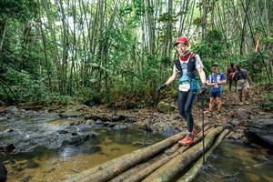 BIB: 
                            <button type="button" onclick="openModal(26500239)" class="btn btn-primary btn-sm float-right btn-popup" data-toggle="modal" data-target=".modal-high-quality">
                        <i class="fas fa-shopping-cart"></i> Add to Cart
                    </button>
                                            <button type="button" onclick="isThisMe(26500239, true)" class="btn btn-success btn-sm float-right btn-popup btn-isme hidden" data-toggle="tooltip" data-placement="bottom" title="นี่คือรูปของคุณใช่ไหม คลิกที่นี่เพื่อเอาเข้าอัลบั้ม">
                        <i class="fas fa-plus"></i> Add to album
                    </button>
                    <button type="button" onclick="isThisMe(26500239, false)" class="btn btn-warning btn-sm float-right btn-popup btn-isnotme hidden">
                        <i class="fas fa-ban"></i> Remove from album
                    </button>