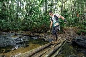 BIB: 
                            <button type="button" onclick="openModal(26428969)" class="btn btn-primary btn-sm float-right btn-popup" data-toggle="modal" data-target=".modal-high-quality">
                        <i class="fas fa-shopping-cart"></i> Add to Cart
                    </button>
                                            <button type="button" onclick="isThisMe(26428969, true)" class="btn btn-success btn-sm float-right btn-popup btn-isme hidden" data-toggle="tooltip" data-placement="bottom" title="นี่คือรูปของคุณใช่ไหม คลิกที่นี่เพื่อเอาเข้าอัลบั้ม">
                        <i class="fas fa-plus"></i> Add to album
                    </button>
                    <button type="button" onclick="isThisMe(26428969, false)" class="btn btn-warning btn-sm float-right btn-popup btn-isnotme hidden">
                        <i class="fas fa-ban"></i> Remove from album
                    </button>