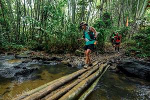 BIB: 
                            <button type="button" onclick="openModal(26451499)" class="btn btn-primary btn-sm float-right btn-popup" data-toggle="modal" data-target=".modal-high-quality">
                        <i class="fas fa-shopping-cart"></i> Add to Cart
                    </button>
                                            <button type="button" onclick="isThisMe(26451499, true)" class="btn btn-success btn-sm float-right btn-popup btn-isme hidden" data-toggle="tooltip" data-placement="bottom" title="นี่คือรูปของคุณใช่ไหม คลิกที่นี่เพื่อเอาเข้าอัลบั้ม">
                        <i class="fas fa-plus"></i> Add to album
                    </button>
                    <button type="button" onclick="isThisMe(26451499, false)" class="btn btn-warning btn-sm float-right btn-popup btn-isnotme hidden">
                        <i class="fas fa-ban"></i> Remove from album
                    </button>