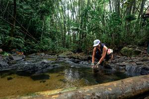 BIB: 
                            <button type="button" onclick="openModal(26458434)" class="btn btn-primary btn-sm float-right btn-popup" data-toggle="modal" data-target=".modal-high-quality">
                        <i class="fas fa-shopping-cart"></i> Add to Cart
                    </button>
                                            <button type="button" onclick="isThisMe(26458434, true)" class="btn btn-success btn-sm float-right btn-popup btn-isme hidden" data-toggle="tooltip" data-placement="bottom" title="นี่คือรูปของคุณใช่ไหม คลิกที่นี่เพื่อเอาเข้าอัลบั้ม">
                        <i class="fas fa-plus"></i> Add to album
                    </button>
                    <button type="button" onclick="isThisMe(26458434, false)" class="btn btn-warning btn-sm float-right btn-popup btn-isnotme hidden">
                        <i class="fas fa-ban"></i> Remove from album
                    </button>