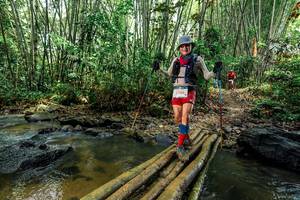 BIB: 
                            <button type="button" onclick="openModal(26468354)" class="btn btn-primary btn-sm float-right btn-popup" data-toggle="modal" data-target=".modal-high-quality">
                        <i class="fas fa-shopping-cart"></i> Add to Cart
                    </button>
                                            <button type="button" onclick="isThisMe(26468354, true)" class="btn btn-success btn-sm float-right btn-popup btn-isme hidden" data-toggle="tooltip" data-placement="bottom" title="นี่คือรูปของคุณใช่ไหม คลิกที่นี่เพื่อเอาเข้าอัลบั้ม">
                        <i class="fas fa-plus"></i> Add to album
                    </button>
                    <button type="button" onclick="isThisMe(26468354, false)" class="btn btn-warning btn-sm float-right btn-popup btn-isnotme hidden">
                        <i class="fas fa-ban"></i> Remove from album
                    </button>