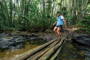 BIB: 
                            <button type="button" onclick="openModal(26441327)" class="btn btn-primary btn-sm float-right btn-popup" data-toggle="modal" data-target=".modal-high-quality">
                        <i class="fas fa-shopping-cart"></i> Add to Cart
                    </button>
                                            <button type="button" onclick="isThisMe(26441327, true)" class="btn btn-success btn-sm float-right btn-popup btn-isme hidden" data-toggle="tooltip" data-placement="bottom" title="นี่คือรูปของคุณใช่ไหม คลิกที่นี่เพื่อเอาเข้าอัลบั้ม">
                        <i class="fas fa-plus"></i> Add to album
                    </button>
                    <button type="button" onclick="isThisMe(26441327, false)" class="btn btn-warning btn-sm float-right btn-popup btn-isnotme hidden">
                        <i class="fas fa-ban"></i> Remove from album
                    </button>