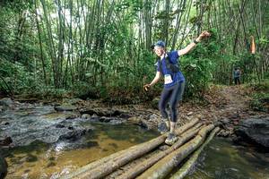 BIB: 
                            <button type="button" onclick="openModal(26502073)" class="btn btn-primary btn-sm float-right btn-popup" data-toggle="modal" data-target=".modal-high-quality">
                        <i class="fas fa-shopping-cart"></i> Add to Cart
                    </button>
                                            <button type="button" onclick="isThisMe(26502073, true)" class="btn btn-success btn-sm float-right btn-popup btn-isme hidden" data-toggle="tooltip" data-placement="bottom" title="นี่คือรูปของคุณใช่ไหม คลิกที่นี่เพื่อเอาเข้าอัลบั้ม">
                        <i class="fas fa-plus"></i> Add to album
                    </button>
                    <button type="button" onclick="isThisMe(26502073, false)" class="btn btn-warning btn-sm float-right btn-popup btn-isnotme hidden">
                        <i class="fas fa-ban"></i> Remove from album
                    </button>