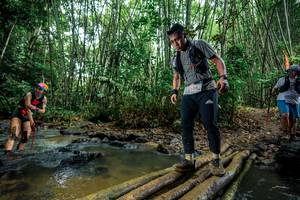 BIB: 
                            <button type="button" onclick="openModal(26487070)" class="btn btn-primary btn-sm float-right btn-popup" data-toggle="modal" data-target=".modal-high-quality">
                        <i class="fas fa-shopping-cart"></i> Add to Cart
                    </button>
                                            <button type="button" onclick="isThisMe(26487070, true)" class="btn btn-success btn-sm float-right btn-popup btn-isme hidden" data-toggle="tooltip" data-placement="bottom" title="นี่คือรูปของคุณใช่ไหม คลิกที่นี่เพื่อเอาเข้าอัลบั้ม">
                        <i class="fas fa-plus"></i> Add to album
                    </button>
                    <button type="button" onclick="isThisMe(26487070, false)" class="btn btn-warning btn-sm float-right btn-popup btn-isnotme hidden">
                        <i class="fas fa-ban"></i> Remove from album
                    </button>