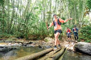 BIB: 
                            <button type="button" onclick="openModal(26448159)" class="btn btn-primary btn-sm float-right btn-popup" data-toggle="modal" data-target=".modal-high-quality">
                        <i class="fas fa-shopping-cart"></i> Add to Cart
                    </button>
                                            <button type="button" onclick="isThisMe(26448159, true)" class="btn btn-success btn-sm float-right btn-popup btn-isme hidden" data-toggle="tooltip" data-placement="bottom" title="นี่คือรูปของคุณใช่ไหม คลิกที่นี่เพื่อเอาเข้าอัลบั้ม">
                        <i class="fas fa-plus"></i> Add to album
                    </button>
                    <button type="button" onclick="isThisMe(26448159, false)" class="btn btn-warning btn-sm float-right btn-popup btn-isnotme hidden">
                        <i class="fas fa-ban"></i> Remove from album
                    </button>