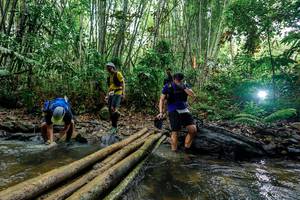 BIB: 
                            <button type="button" onclick="openModal(26455730)" class="btn btn-primary btn-sm float-right btn-popup" data-toggle="modal" data-target=".modal-high-quality">
                        <i class="fas fa-shopping-cart"></i> Add to Cart
                    </button>
                                            <button type="button" onclick="isThisMe(26455730, true)" class="btn btn-success btn-sm float-right btn-popup btn-isme hidden" data-toggle="tooltip" data-placement="bottom" title="นี่คือรูปของคุณใช่ไหม คลิกที่นี่เพื่อเอาเข้าอัลบั้ม">
                        <i class="fas fa-plus"></i> Add to album
                    </button>
                    <button type="button" onclick="isThisMe(26455730, false)" class="btn btn-warning btn-sm float-right btn-popup btn-isnotme hidden">
                        <i class="fas fa-ban"></i> Remove from album
                    </button>