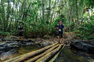 BIB: 
                            <button type="button" onclick="openModal(26464408)" class="btn btn-primary btn-sm float-right btn-popup" data-toggle="modal" data-target=".modal-high-quality">
                        <i class="fas fa-shopping-cart"></i> Add to Cart
                    </button>
                                            <button type="button" onclick="isThisMe(26464408, true)" class="btn btn-success btn-sm float-right btn-popup btn-isme hidden" data-toggle="tooltip" data-placement="bottom" title="นี่คือรูปของคุณใช่ไหม คลิกที่นี่เพื่อเอาเข้าอัลบั้ม">
                        <i class="fas fa-plus"></i> Add to album
                    </button>
                    <button type="button" onclick="isThisMe(26464408, false)" class="btn btn-warning btn-sm float-right btn-popup btn-isnotme hidden">
                        <i class="fas fa-ban"></i> Remove from album
                    </button>