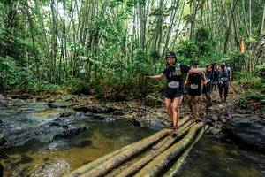 BIB: 
                            <button type="button" onclick="openModal(26446373)" class="btn btn-primary btn-sm float-right btn-popup" data-toggle="modal" data-target=".modal-high-quality">
                        <i class="fas fa-shopping-cart"></i> Add to Cart
                    </button>
                                            <button type="button" onclick="isThisMe(26446373, true)" class="btn btn-success btn-sm float-right btn-popup btn-isme hidden" data-toggle="tooltip" data-placement="bottom" title="นี่คือรูปของคุณใช่ไหม คลิกที่นี่เพื่อเอาเข้าอัลบั้ม">
                        <i class="fas fa-plus"></i> Add to album
                    </button>
                    <button type="button" onclick="isThisMe(26446373, false)" class="btn btn-warning btn-sm float-right btn-popup btn-isnotme hidden">
                        <i class="fas fa-ban"></i> Remove from album
                    </button>