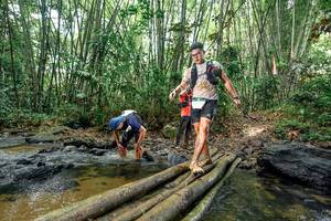 BIB: 
                            <button type="button" onclick="openModal(26442589)" class="btn btn-primary btn-sm float-right btn-popup" data-toggle="modal" data-target=".modal-high-quality">
                        <i class="fas fa-shopping-cart"></i> Add to Cart
                    </button>
                                            <button type="button" onclick="isThisMe(26442589, true)" class="btn btn-success btn-sm float-right btn-popup btn-isme hidden" data-toggle="tooltip" data-placement="bottom" title="นี่คือรูปของคุณใช่ไหม คลิกที่นี่เพื่อเอาเข้าอัลบั้ม">
                        <i class="fas fa-plus"></i> Add to album
                    </button>
                    <button type="button" onclick="isThisMe(26442589, false)" class="btn btn-warning btn-sm float-right btn-popup btn-isnotme hidden">
                        <i class="fas fa-ban"></i> Remove from album
                    </button>